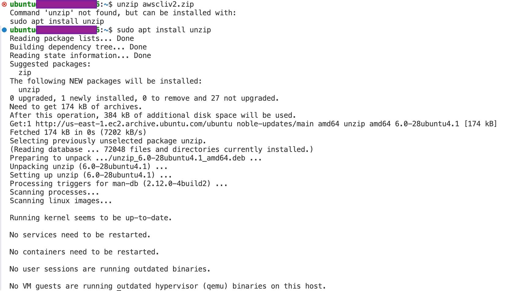 unzip install
