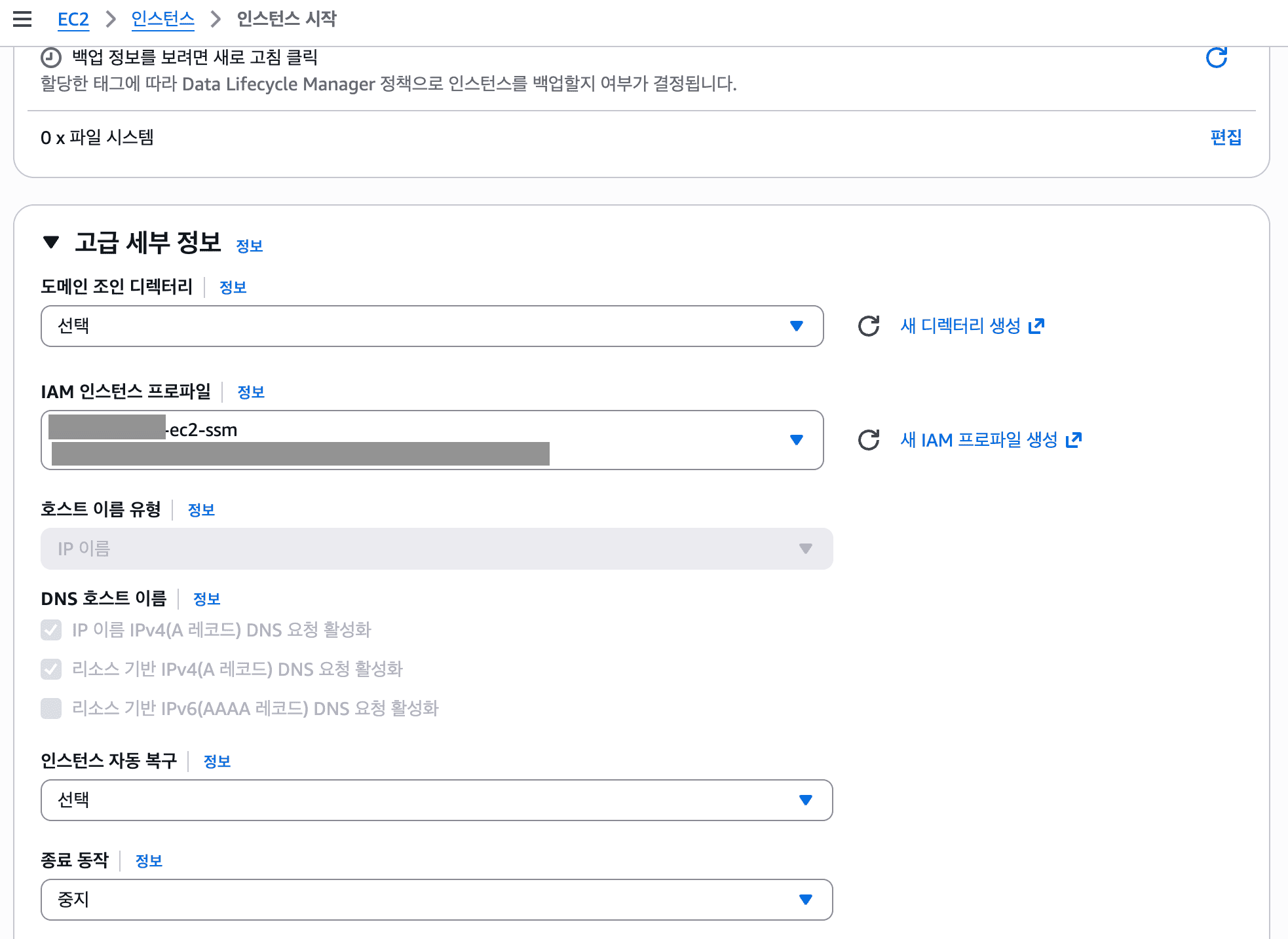 IAM 프로파일 선택