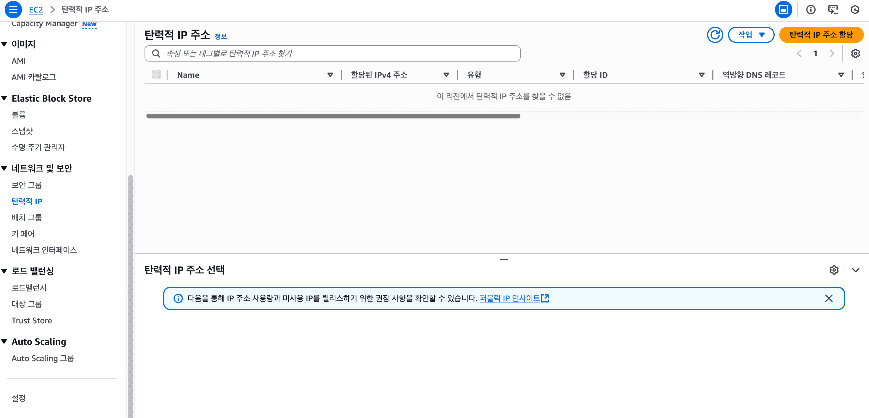 탄력적 IP 주소 할당