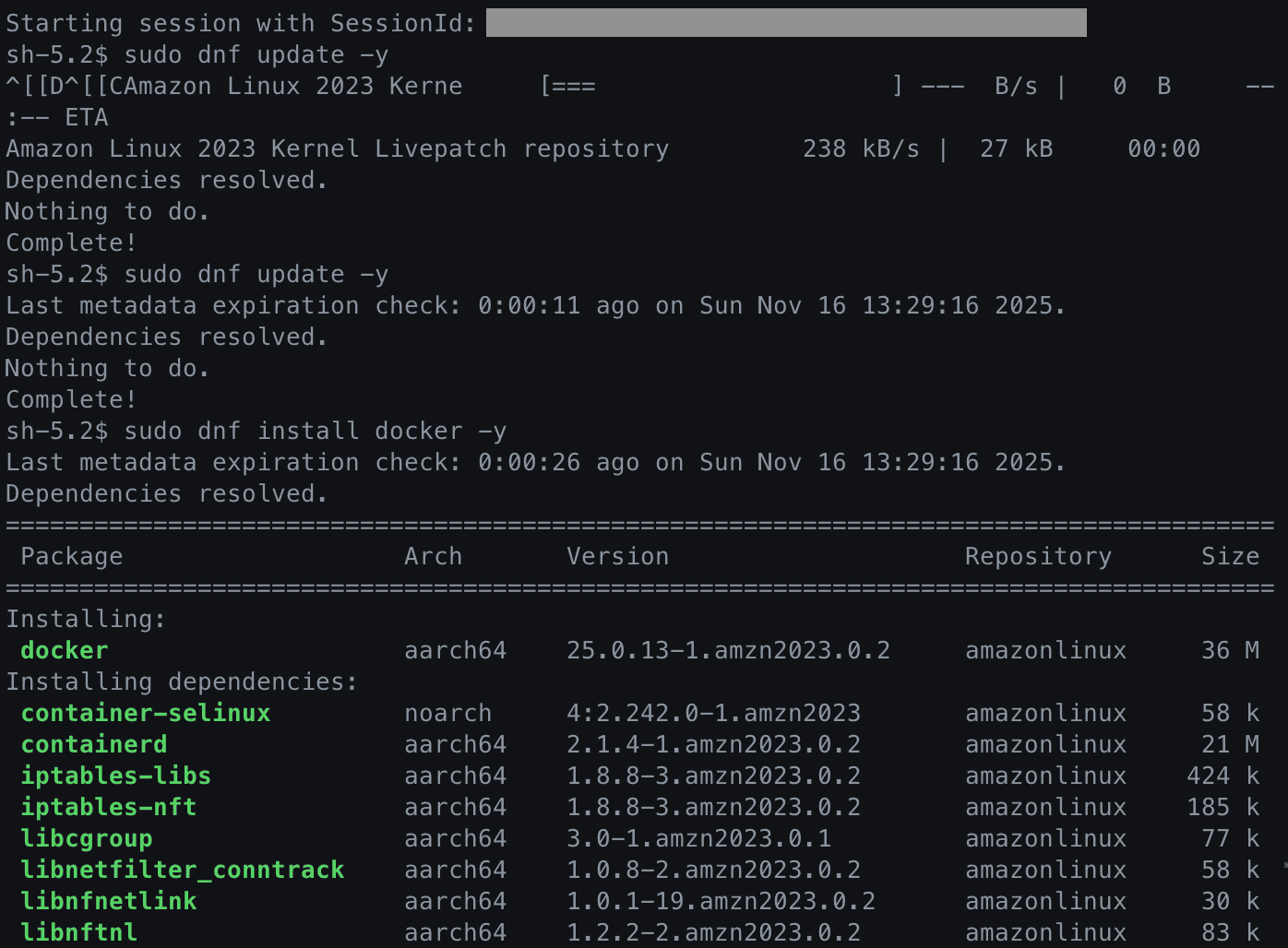 dnf 업데이트 및 docker 설치 시작